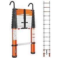 Algopix Similar Product 14 - LUISLADDERS Aluminum Telescoping Ladder