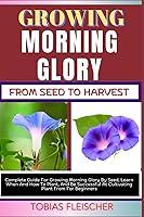 Algopix Similar Product 4 - GROWING MORNING GLORY FROM SEED TO