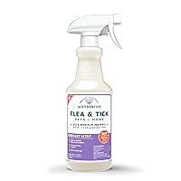 Algopix Similar Product 4 - Wondercide  Flea Tick  Mosquito