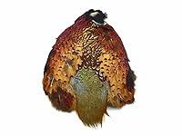 Algopix Similar Product 1 - Complete Natural Ringneck Pheasant Skin