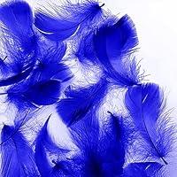 Algopix Similar Product 3 - Sapphire Blue 600pcs Colorful Feathers