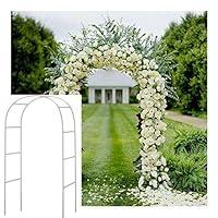 Algopix Similar Product 5 - Adorox 75Ft 1 Set White Metal Arch
