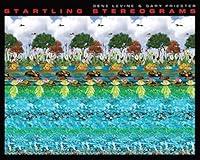 Algopix Similar Product 7 - Startling Stereograms