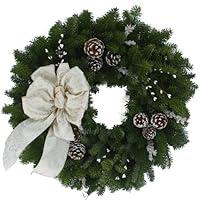 Algopix Similar Product 18 - Worcester Wreath 24Inch Winter