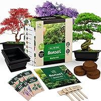 Algopix Similar Product 10 - REALPETALED Bonsai Starter Kit 