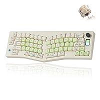 Algopix Similar Product 14 - SUEHIODHY CIDOO ABM066 Alice Keyboard