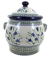 Algopix Similar Product 5 - Blue Rose Polish Pottery Evergreen