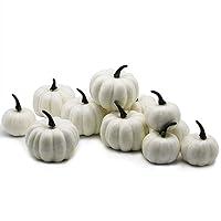 Algopix Similar Product 2 - YOFIT 12 Pcs Thanksgiving Table