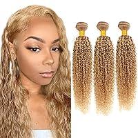 Algopix Similar Product 15 - Kinky Curly Honey Blonde Bundles 27