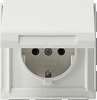 Algopix Similar Product 17 - GIRA 45466 Plug