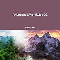 Algopix Similar Product 10 - Anjunabeats Worldwide 09