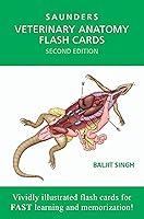 Algopix Similar Product 14 - Veterinary Anatomy Flash Cards