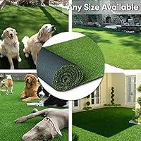 Algopix Similar Product 5 -  Petgrow  Artificial Synthetic Grass