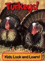 Algopix Similar Product 13 - Turkeys Learn About Turkeys and Enjoy