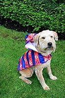 Algopix Similar Product 14 - RC Pet Products Packable Dog Rain