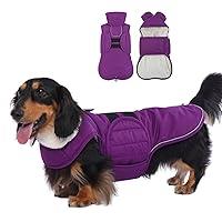 Algopix Similar Product 3 - Lelepet Dachshund Coat Warm Dog Winter