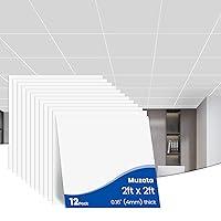 Algopix Similar Product 1 - Muzata 12Pack 2x2 Drop Ceiling Tiles