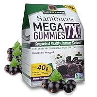 Algopix Similar Product 17 - NatureS Answer Sambucus Mega Gummies