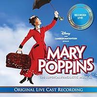 Algopix Similar Product 16 - Practically Perfect