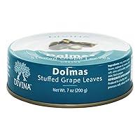 Algopix Similar Product 19 - Divina Stuffed Grape Leaves Dolmas in