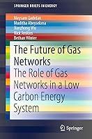 Algopix Similar Product 15 - The Future of Gas Networks The Role of