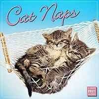 Algopix Similar Product 7 - 2021 Cat Naps 16-Month Wall Calendar