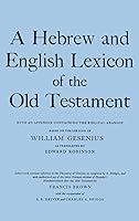 Algopix Similar Product 18 - A Hebrew and English Lexicon of the Old