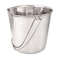 Algopix Similar Product 1 - ProSelect Stainless Steel Flat Sided