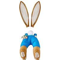 Algopix Similar Product 8 - Generic Rabbit Easter Wreath Crafts