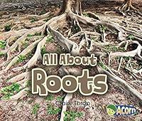 Algopix Similar Product 17 - All About Roots (All About Plants)