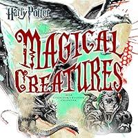 Algopix Similar Product 16 - Harry Potter 2018 Collectors Edition