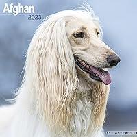 Algopix Similar Product 6 - Afghan Hound Calendar  Afghan Dog