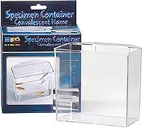Algopix Similar Product 10 - Lees Convalescent HomeSpecimen