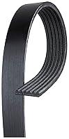 Algopix Similar Product 3 - Roadmax 6K930AP Serpentine Belt