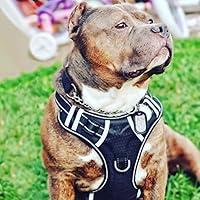 Algopix Similar Product 3 - Big Dog Harness No Pull Adjustable Pet