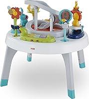 Algopix Similar Product 20 - FisherPrice Baby to Toddler Toy 2In1