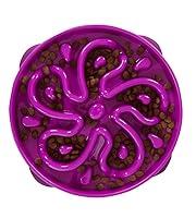 Algopix Similar Product 11 - Outward Hound Fun Feeder Slo Bowl Slow