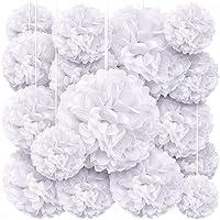 Algopix Similar Product 8 - White Tissue Paper Pom Poms  Assorted