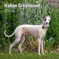 Algopix Similar Product 13 - MegaCalendars  Italian Greyhound