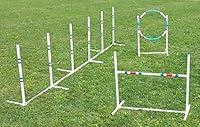 Algopix Similar Product 11 - Affordable Agility Dog Agility