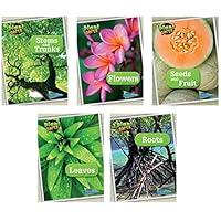 Algopix Similar Product 1 - Plant Parts