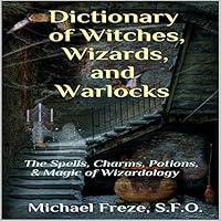 Algopix Similar Product 6 - Dictionary of Witches Wizards and