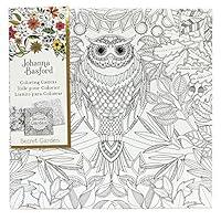 Algopix Similar Product 4 - Art Alternatives Johanna Basford Secret