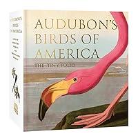 Algopix Similar Product 20 - Audubons Birds of America The Tiny