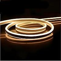 Algopix Similar Product 3 - FORT Led Neon Rope Lights for Outside