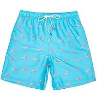 Algopix Similar Product 12 - Mens Bathing Suits with Mesh Lining