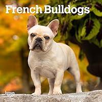 Algopix Similar Product 12 - French Bulldogs  2025 7 x 14 Inch