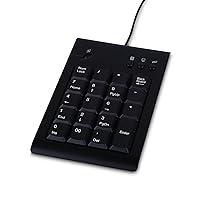 Algopix Similar Product 10 - V7 KP1019USB4NB LowProfile Numeric
