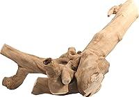 Algopix Similar Product 19 - AE Cage Company 001373 Java Wood