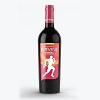 Algopix Similar Product 7 - Fitvine Wine Cabernet Sauvignon, 750 ml